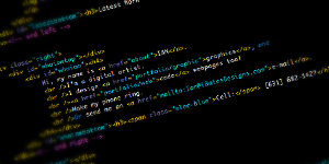 Web Portfolio